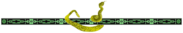 snakeborder3
